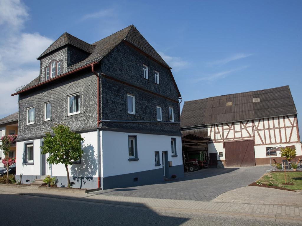Spacious Holiday Home Between Mosel And Hunsr Ck Blankenrath Exterior foto